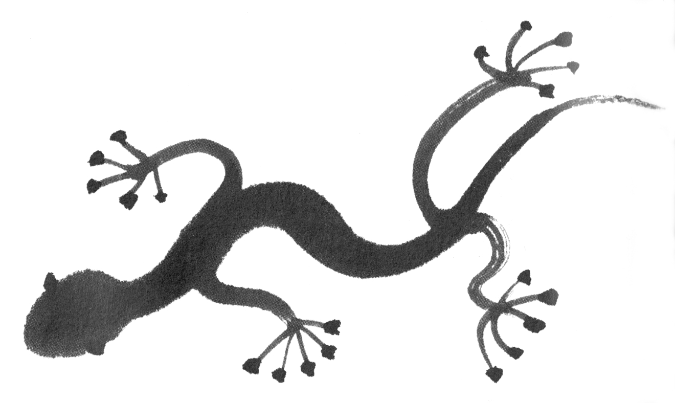 gecko